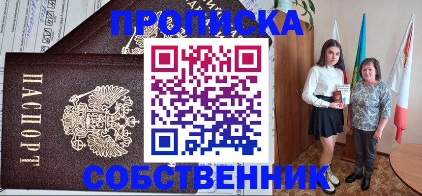 временная регистрация поиск в Курской области