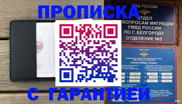 временная регистрация для всех в Курской области
